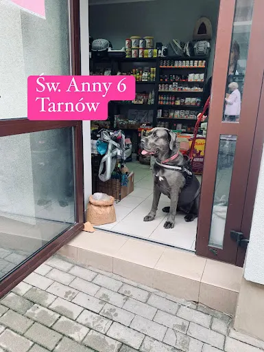 Animalove Sklep zoologiczny, karmy z dobrym składem, ubranka pooperacyjne, dolina noteci, josera, wiejska zagroda, N&D